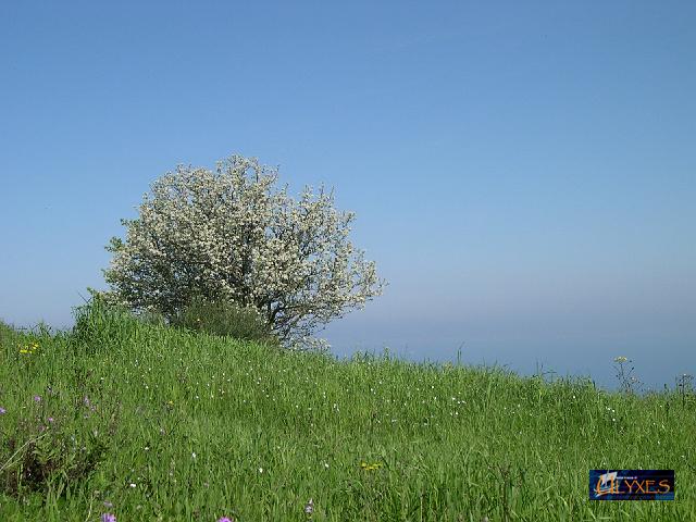 azzurro e verde.JPG